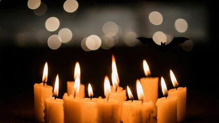 Lit candles and bats. Mysterious and mystical atmosphere of Halloween.