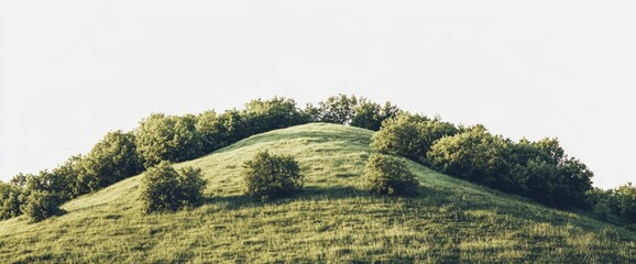 Cut out - stock png of lush green forest covering a serene mountainous landscape