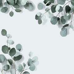Obraz premium Eucalyptus Branches Gray Background Composition