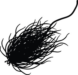 saffron thread on white background.eps