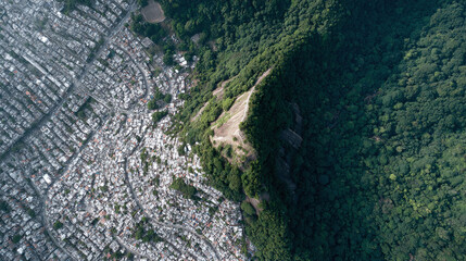 Aerial shot juxtaposing dense urban development and lush rainforest, showing environmental contrast. Concept of city growth, nature conservation, or inequality.