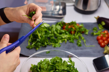 Hands Skillfully Cutting Fresh Cilantro for Delicious and Flavorful Cooking Dishes