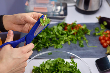 Hands Skillfully Cutting Fresh Cilantro for Delicious and Flavorful Cooking Dishes