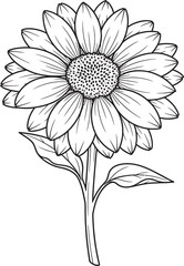 Line Art Daisy, Black and White Flower Illustration, Simple Floral Design, Elegant Daisy Drawing, Botanical Line Drawing