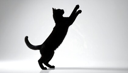 Silhouette of a cat leaping