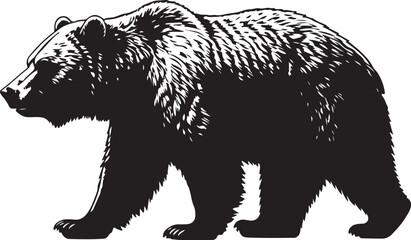 Kodiak Bear Vector Silhouette