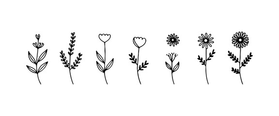 Stylized Garden Bloom Outline. A refined flower sketch with rounded petals and subtle curves.