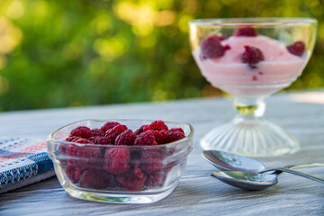 Raspberry ice cream on the table