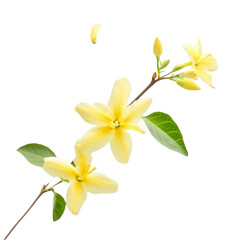 Creamy Spaghetti Ice Cream Cone Black Pepper Topping isolated on transparent background cutout