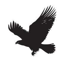 Obraz premium Two bald eagle silhouettes soar gracefully with open wings in a striking black design with transparent background
