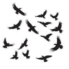 Obraz premium Two eagles soar majestically, their silhouettes contrasting beautifully against the transparent background