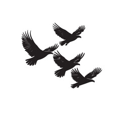 Obraz premium Two majestic eagles soar powerfully against the white background in detailed silhouette
