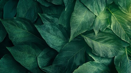 Fototapeta premium A nature-inspired green leaf pattern with fine textures 