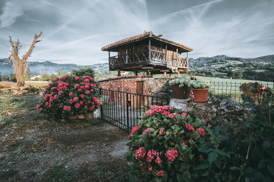 Traditional Asturian horreo raised on stone pillars stands in a vibrant garden with blooming hydrangeas, potted plants, and panoramic views of the lush green hills of northern Spain in the background