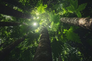 Fototapeta premium The environment concept is illustrated by a forest background with a tree branch in sunny light, complemented by the canopy of tall tree woods and a vibrant green hue