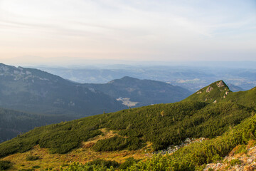 Naklejka premium Green mountain slopes with distant valley view under soft evening light. Lush green mountain landscape with distant valley and soft pastel sky at sunset.