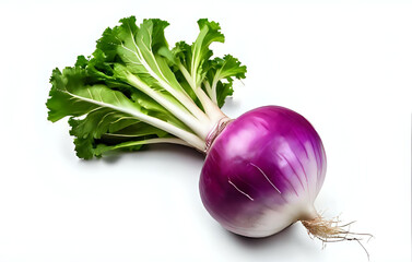 One whole turnip isolated on white background 