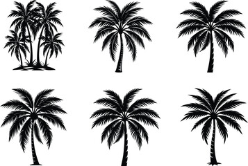 Silhouettes of tropical palm trees against a summer sky