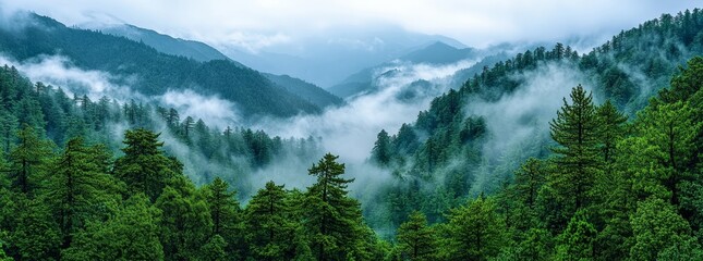 In the Indian state of Himachal Pradesh, Jibhi is a mountain valley situated within the Tirthan Valley