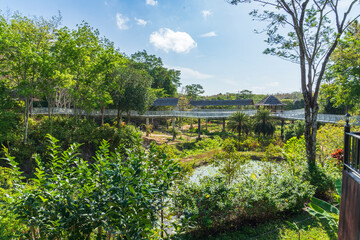 Retirement home in a rescue sanctuary in Phuket