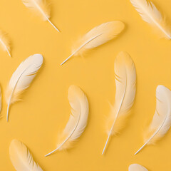 White bird feathers on a yellow background