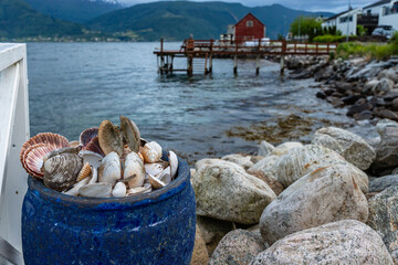 Fototapete bei efototapeten.de bestellen   