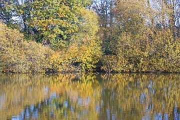 Lake in Decoy Country Park, Devon in Autumn	