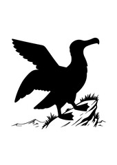 Silhouette of a Bird Landing on a Branch