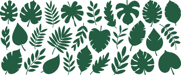 Collection of Green Tropical Leaf Silhouettes on Transparent Background for Botanical and Nature-Inspired Designs