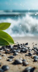 Seashells on Sandy Beach.  Ocean Waves Splashing