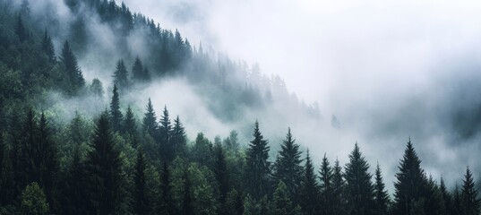 Fototapeta premium In the Schwarzwald, a mystical winter landscape unfolds with rising fog, snow-covered mountains, and trees set against a panoramic sky