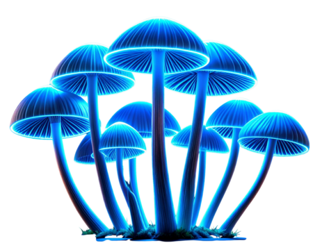 Vibrant red chrysanthemum flower with green leaves - Powered by Adobe