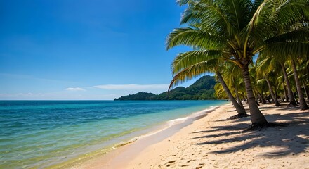 Fototapeta premium A sunny tropical beach with palm trees.jpg