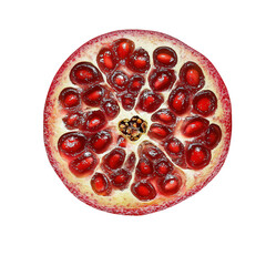 Half Pomegranate with Red Juicy Seeds Isolated on transparent  Background