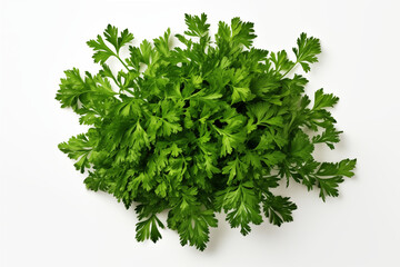 Obraz premium Fresh coriander leaves isolated on white background.