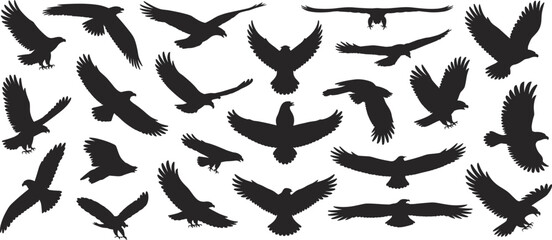 Bird silhouettes in flight, vector illustration, flying birds set, black bird shapes, avian motion, wildlife design, flat CAD drawing