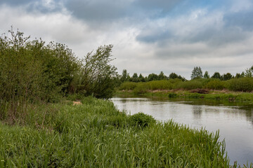Calm River with Lush Greenery and Overcast Sky in Belarus