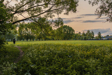 Grassy Field with Dirt Path and Soccer Goalpost in Belarus