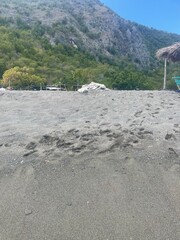Peaceful Black Sand Beach with Mountain View