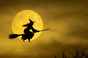 Witch silhouette over a full moon, spooky halloween concept