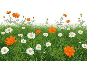 Fototapeta premium Vibrant wildflowers in a meadow isolated on transparent background