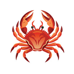 red crab on white background -crab-look-like-real-vector-on-white-background