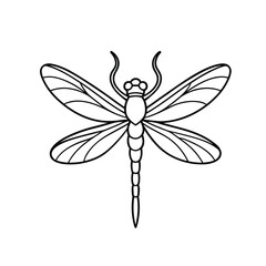 dragonfly-outline-vector-on-white-background. dragonfly vector illustration