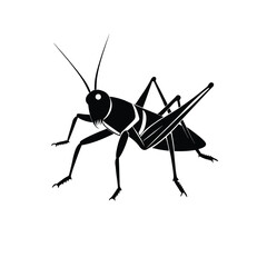  grasshopper-silhouette-vector-on-white-background grasshopper isolated on white background 