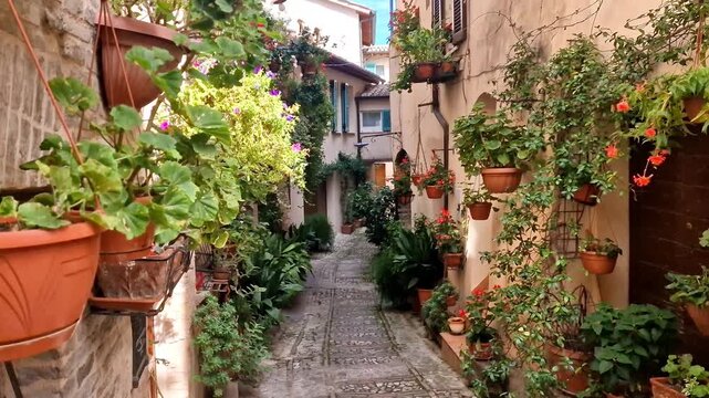 Traditional old villages of Italy, Umbria region - beautiful Spello town. Charming floral streets decoration, 4k HD video. italy tourism and scenic destination
