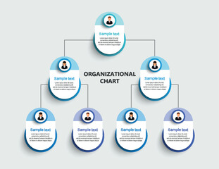 Corporate organizational chart with business avatar icons. Business hierarchy infographic elements
