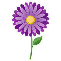 Purple Daisy Flower Cartoon Vector Illustration.