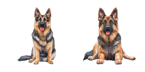 cute german shepherd watercolor vector illustration