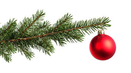 Christmas tree branch with red ornament isolated on transparent background