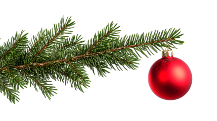 Christmas tree branch with red ornament isolated on transparent background